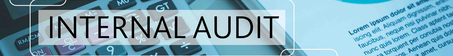 Utah County Internal Audit